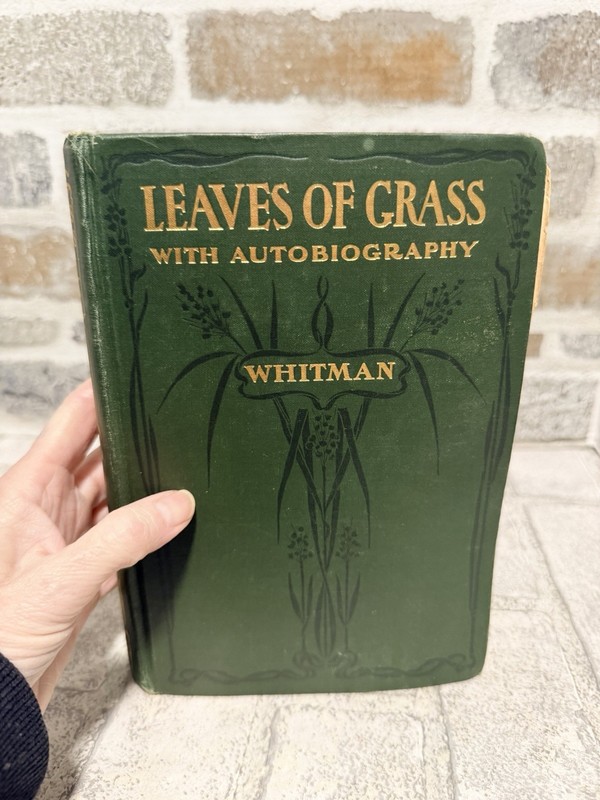 LEAVES OF GRASS by WALT WHITMAN – 1900 HARDCOVER BOOK vintage poem david mckay