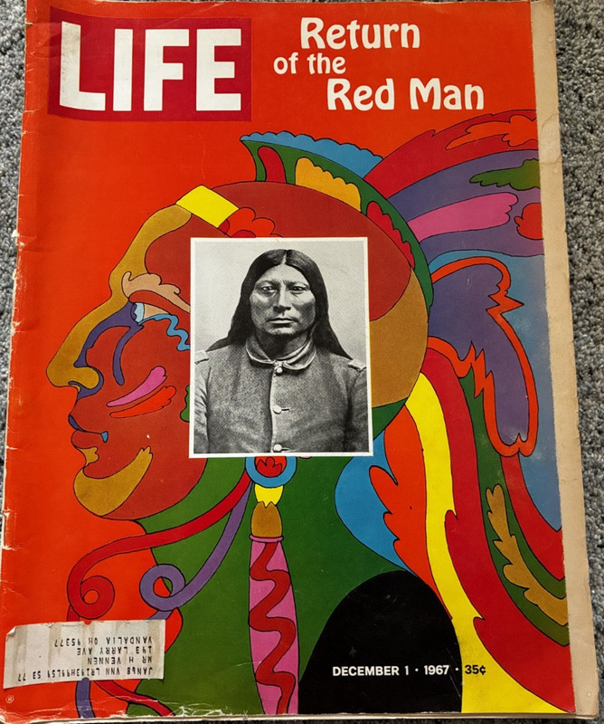 LIFE Magazines HIPPIE ERA Issues - Lot of 16 Vintage Late 1960s to early 1970s gallery