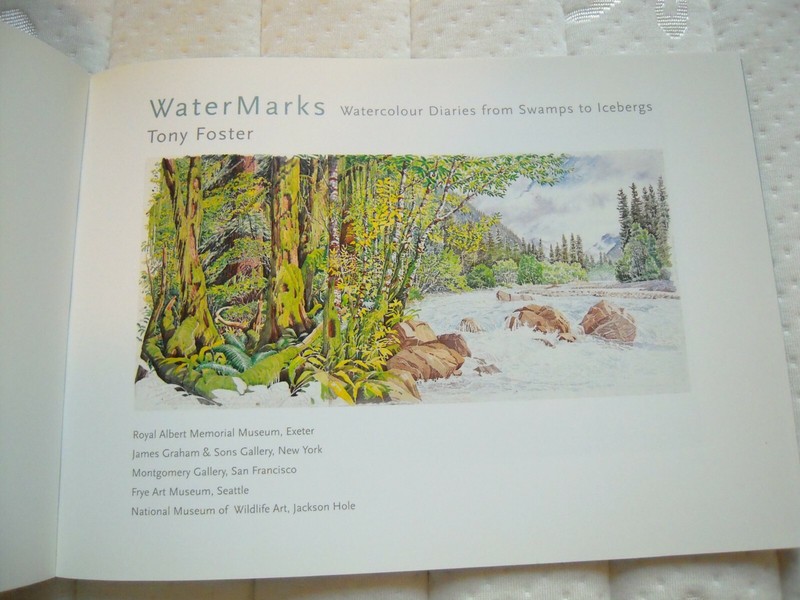 WaterMarks: Watercolour Diaries From Swamps To Icebergs, by Tony Foster gallery