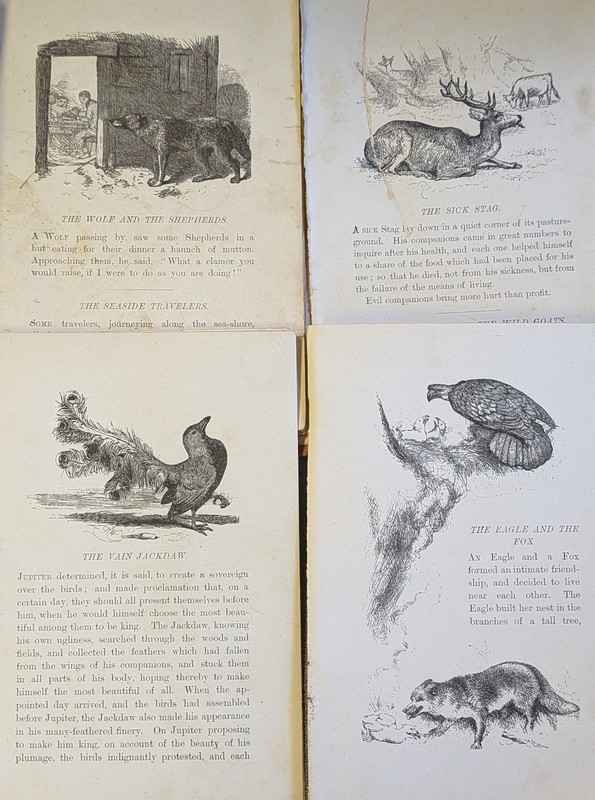 Loose Pages Ephemera AESOP'S FABLES 1800s Victorian Art Illustrations Animals gallery