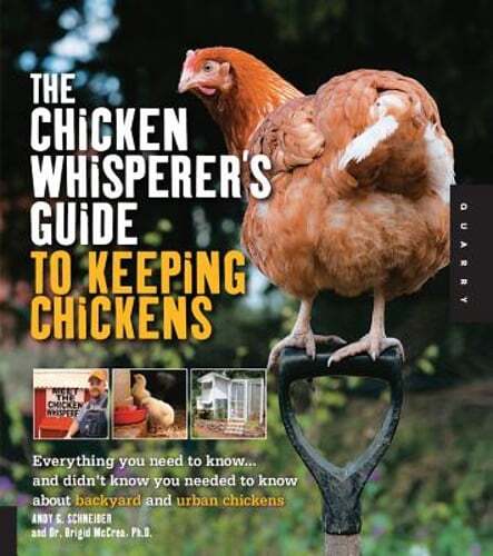 The Chicken Whisperer’s Guide to Keeping Chickens: Everything You Need to Know..