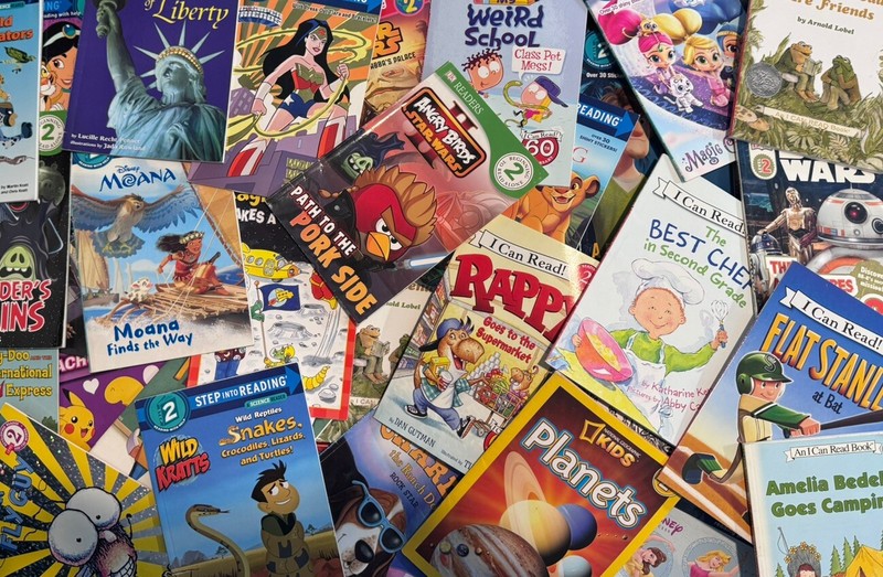 Lot of 20 Level 2 Ready to-I Can Read-Step into Reading-Learn Read Books MIX FS