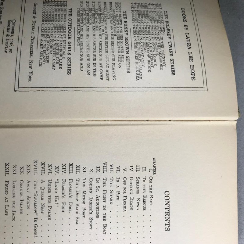 Antique Lot of Two Bobbsey Twin Books gallery
