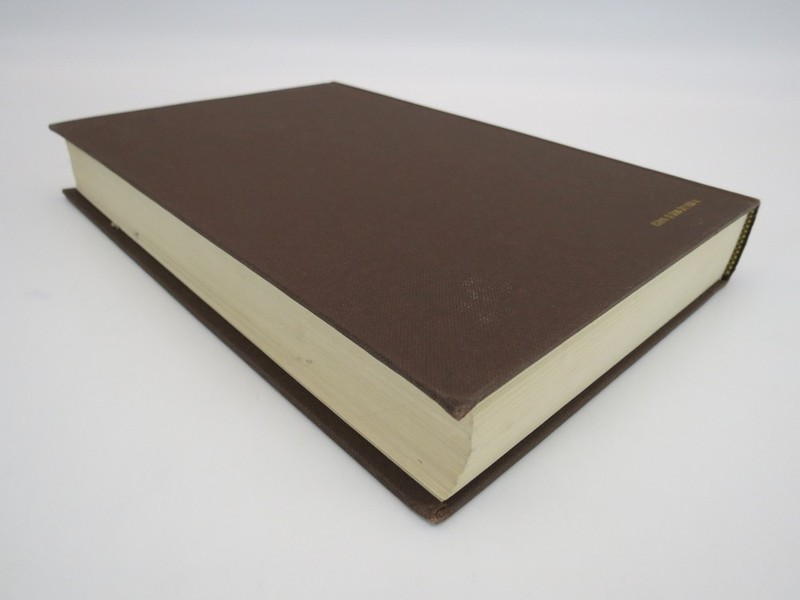 THE NEUROBIOLOGIC MECHANISMS IN MANIPULATIVE THERAPY by Irvin M. Korr 1978 gallery