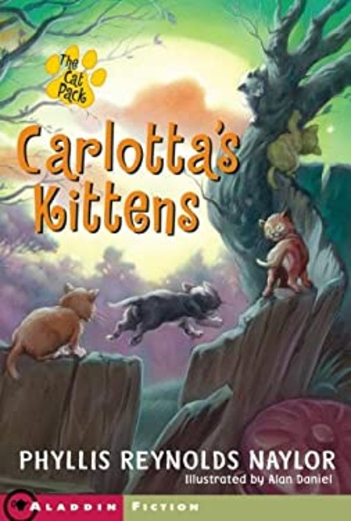 Carlotta’s Kittens Paperback Phyllis Reynolds Naylor