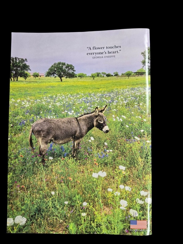 Country Extra Magazine March 2020 Spring Escapes Hawaii & Route 66 Features gallery