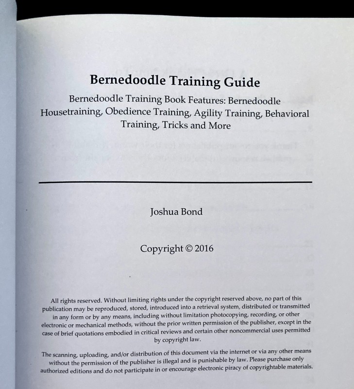 Bernedoodle Training Guide Joshua Bond SC Bernese Mountain Dog & Poodle EUC gallery