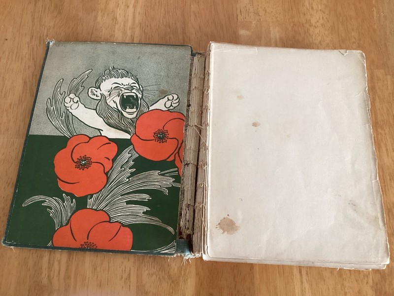 The Wizard of OZ L. Frank Baum W.W. Denslow Donohue 1903 hardcover color gallery