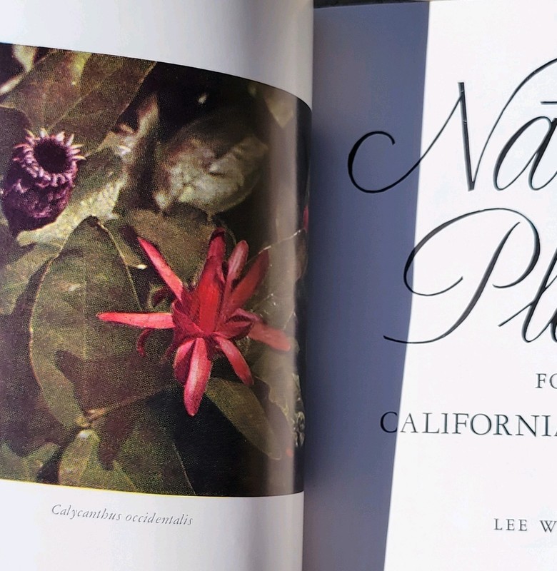 NATIVE PLANTS FOR CALIFORNIA GARDENS ~ 1956 ~ LEE W. LENZ ~ SIGNED! ~ AS FOUND!! gallery