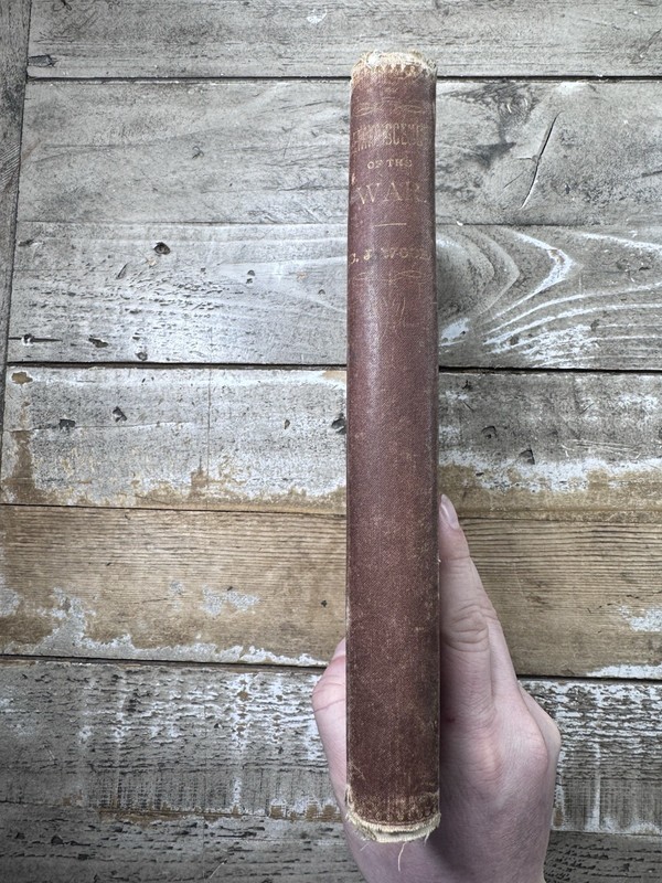 c. 1880 Antique Civil War Book “Reminiscences of the War” Wood