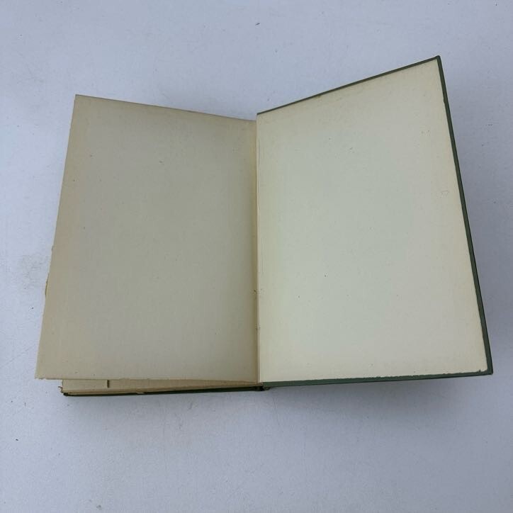 City Tides Archie Austin Coates 1918 HC George H Doran Company gallery