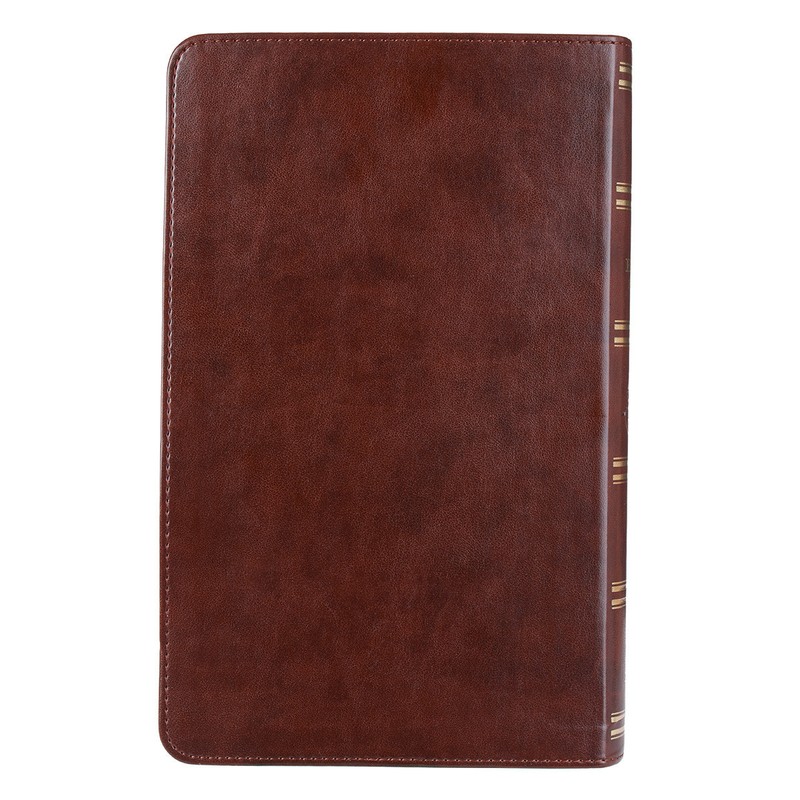 The Holy Bible King James Version Giant Print Tan/Brown / Jesus words in red gallery
