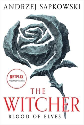 Blood of Elves (The Witcher, 3) – Paperback By Sapkowski, Andrzej – VERY GOOD