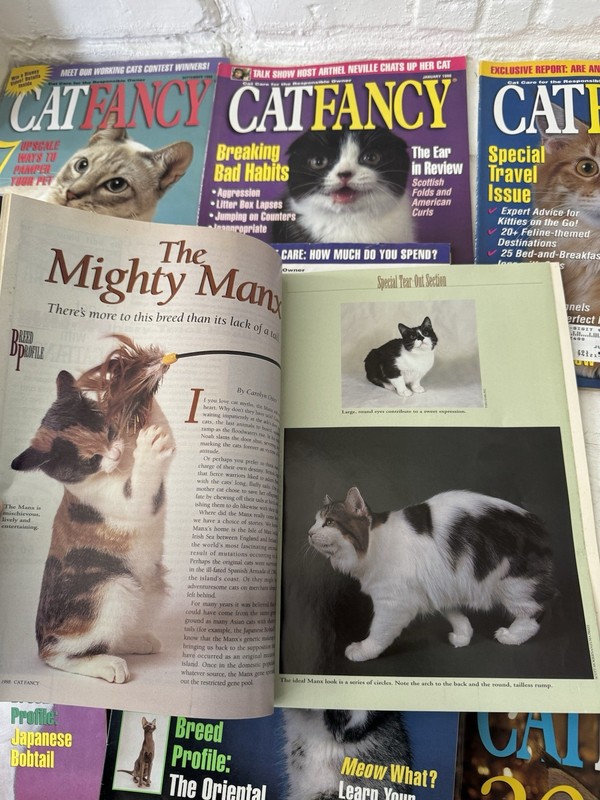 1998 Lot 10 Cat Fancy Magazines 01/98 to 09/98, and 12/98 Cat Posters Photos gallery