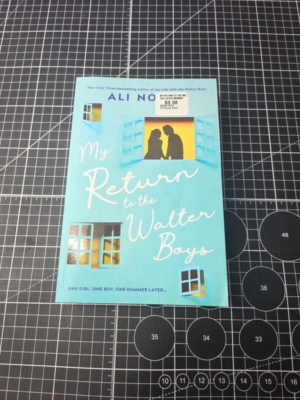 My Return To The Walter Boys Paperback Book Used