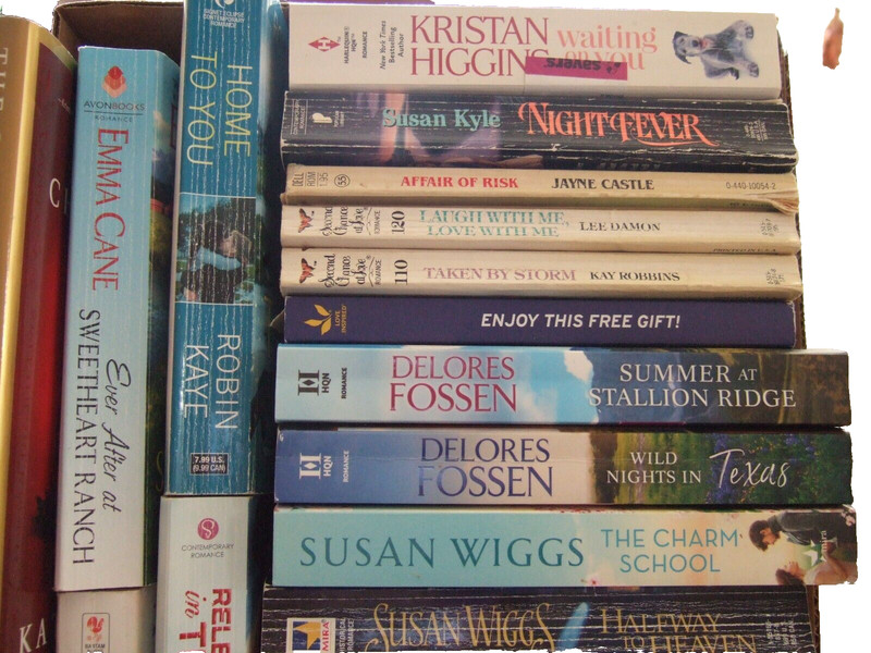 22 NOVELS BY THE TOP WOMEN ROMANCE FAMILY WRITERS for 1 Low Price + Free Ship gallery