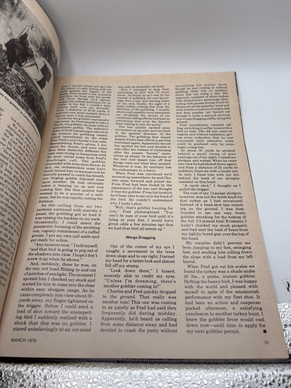 1978 The American Hunter Magazine: March 1978 Vol. 6 No. 3 Pristine gallery