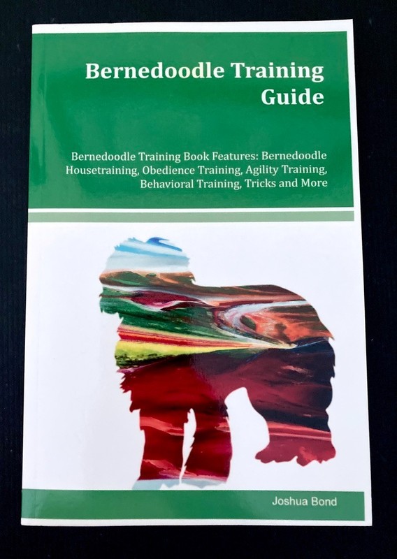 Bernedoodle Training Guide Joshua Bond SC Bernese Mountain Dog & Poodle EUC