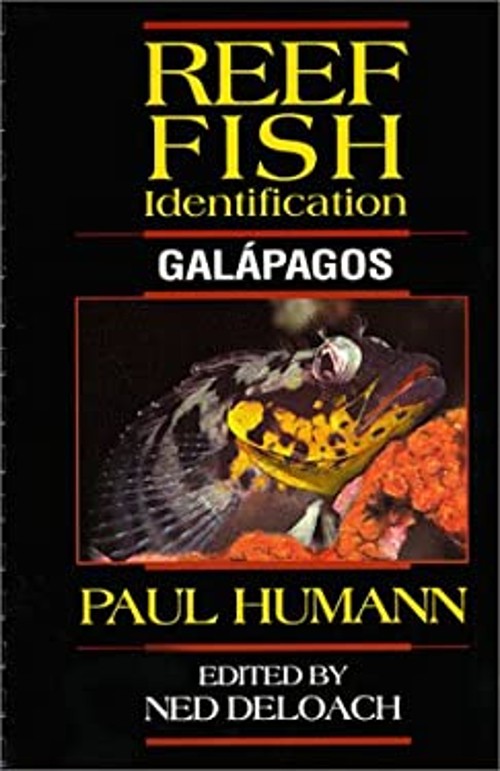 Reef Fish Identification : Galapagos Paperback Paul Humann