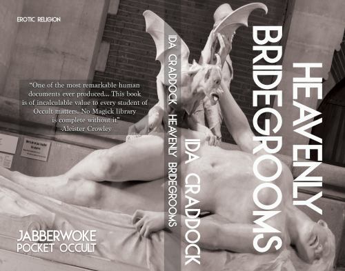 Heavenly Bridegrooms (Jabberwoke Pocket Occult), Like New Used, Free shipping…