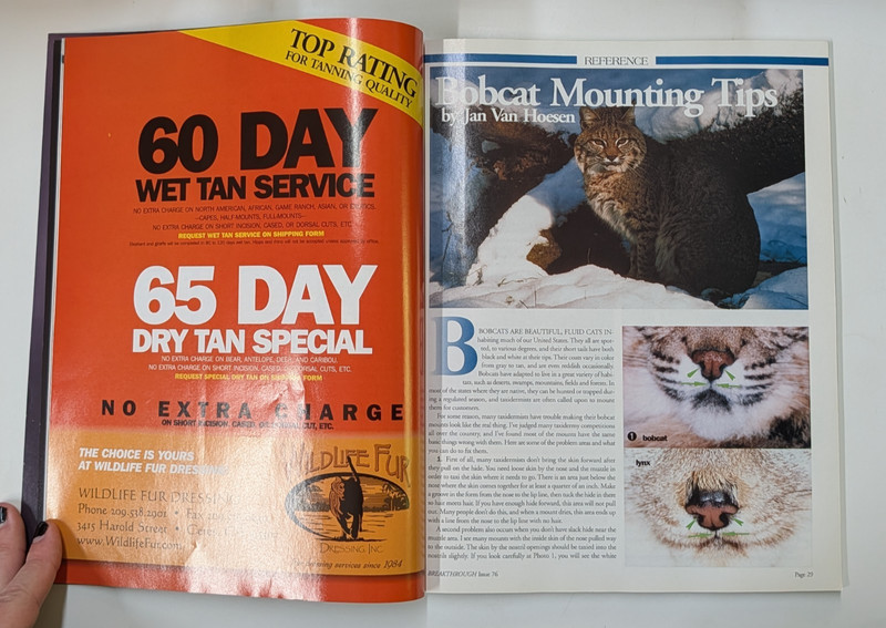 Breakthrough Taxidermy Magazine Issue 76 Summer 2004 gallery