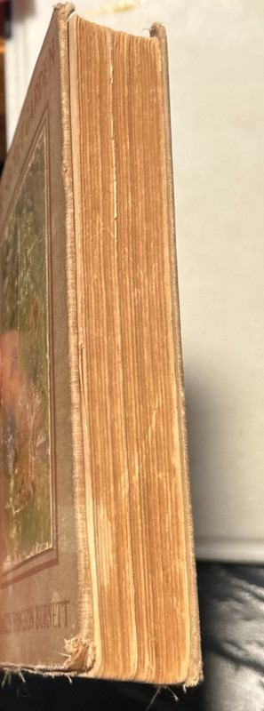 1911 THE SECRET GARDEN by Frances Hodgson Burnett First Edition Second Printing. gallery