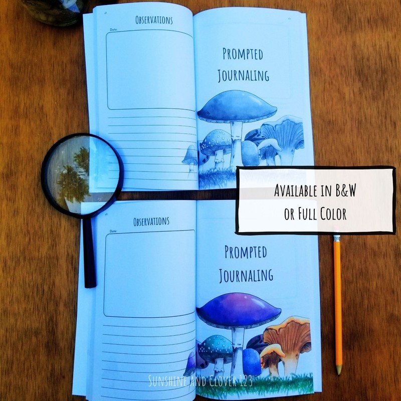 Nature Journal Exploring the Wild Kids Prompted Outdoor Observation Notebook B&W gallery