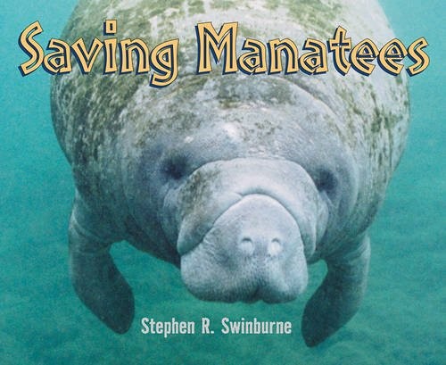 Saving Manatees – swinburne, stephen r. – Good – See condition notes
