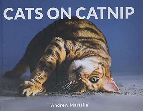 Cats on Catnip, Marttila, Andrew