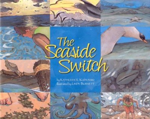 The Seaside Switch Hardcover Kathleen V. Kudlinski
