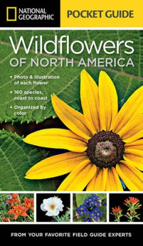 National Geographic Pocket Guide to Wildflowers of North America – VERY GOOD