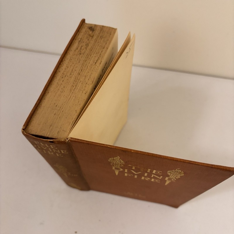 The Devine Fire 1904 By May Sinclair Published Henry Holt And Company gallery