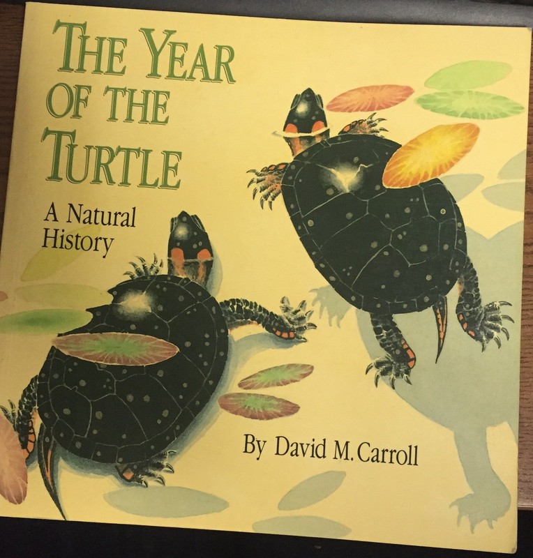 The Year of the Turtle: A Natural History