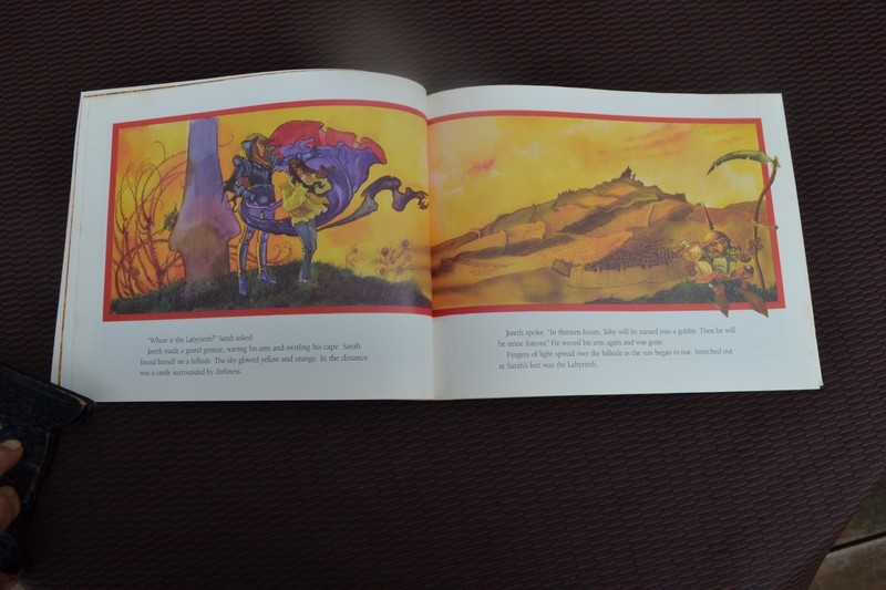 Labyrinth by Louise Gikow 1986 PB gallery