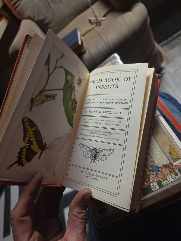 Insect Field Book Frank E Lutz 1935 3rd Ed Entomology HC Illus