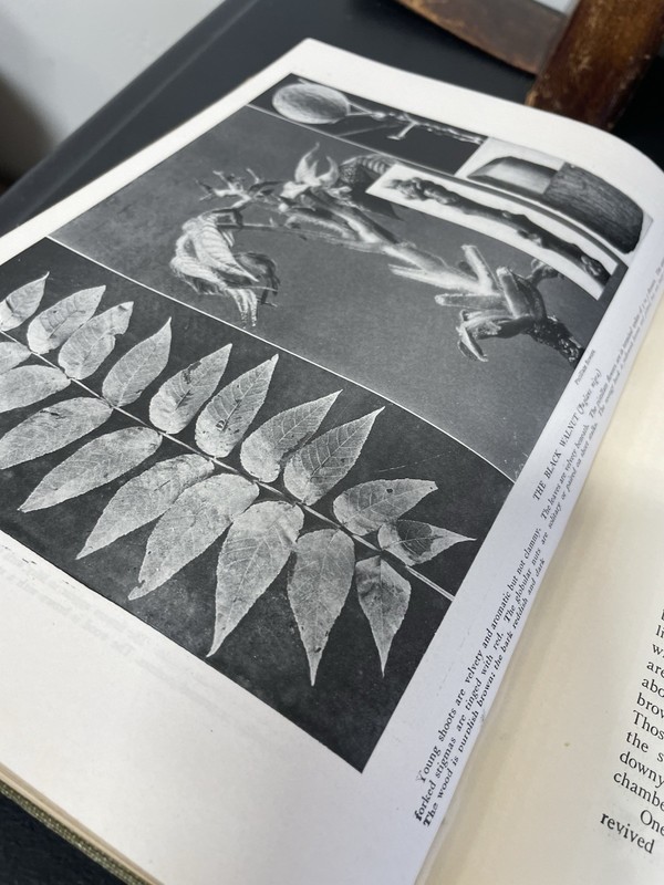 Lot of 8 Volumes of The New Nature Library 1920s 1922/1923 RARE gallery