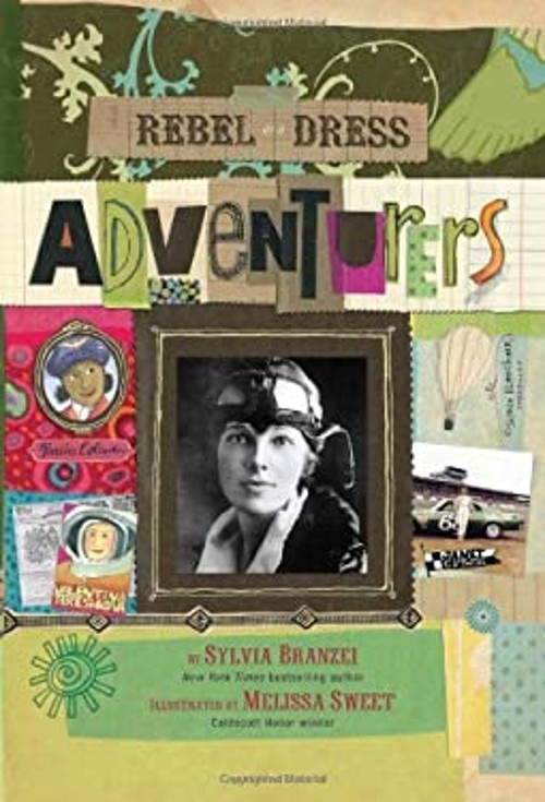 Adventurers Paperback Sylvia Branzei