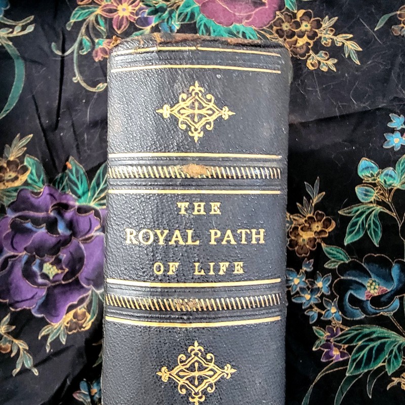 Rare 1881 Victorian Leatherbound Book The Royal Path of Life Gothic, Gold Gilt gallery