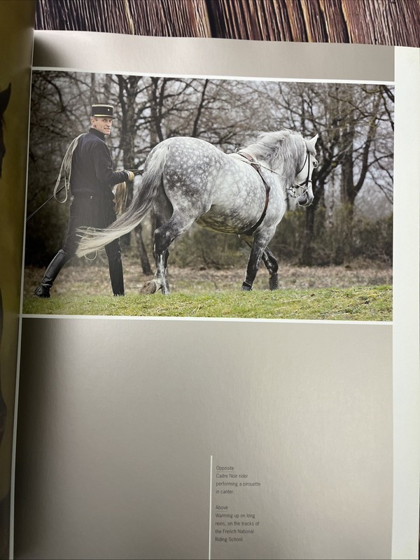 Great European Schools of Classical Dressage Vienna Saumur Jerez Lisbon Book gallery