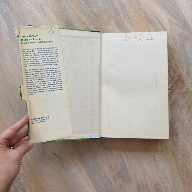 Gardner Press Family Therapy Hardcover Philip Guerin 1976 Green Blue Psychology gallery