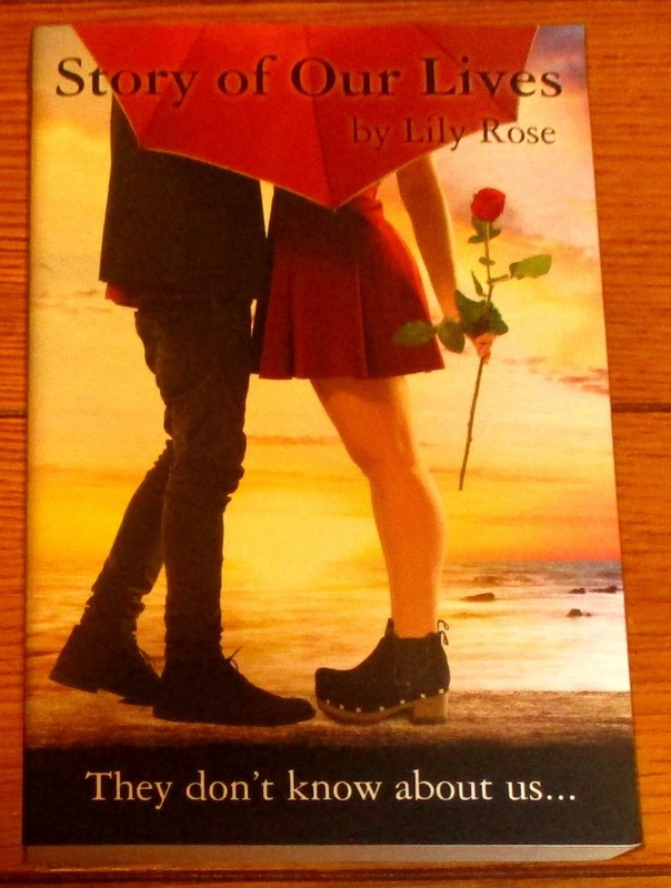 2017 Story of Our Lives by Lily Rose SIGNED Softcover Book 386 Pages NICE!!!
