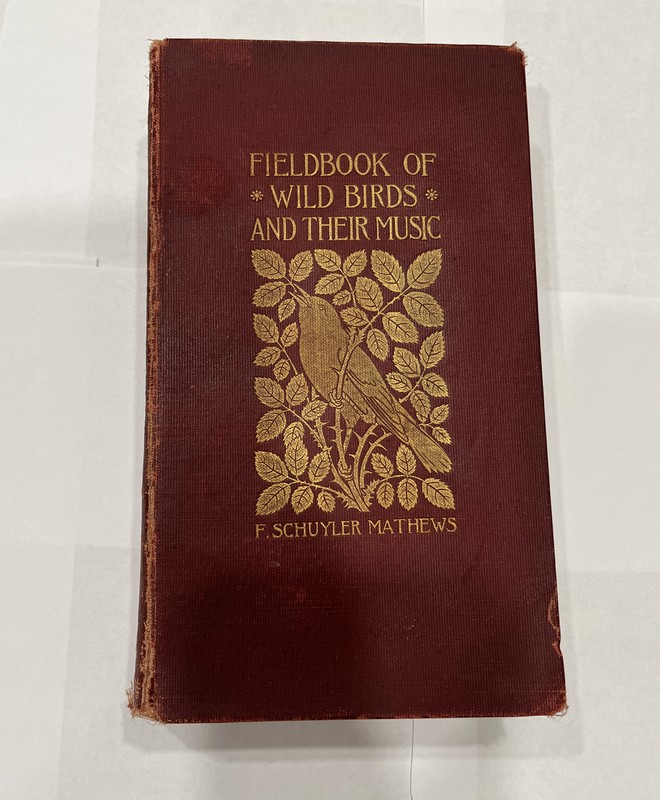 FIELDBOOK OF WILD BIRDS AND THEIR MUSIC by F. SCHUYLER MATHEWS 1904 10th Impress