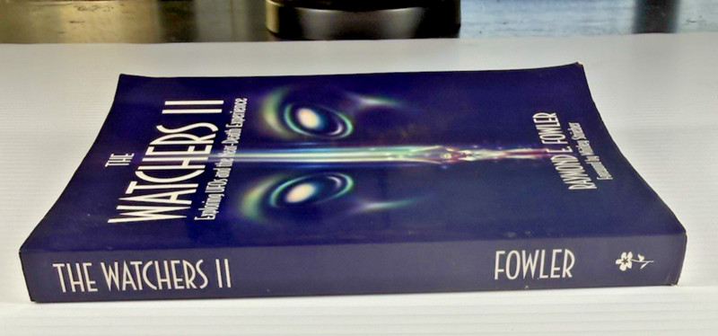The Watchers 2: Exploring UFOs and the Near-Death Experience gallery