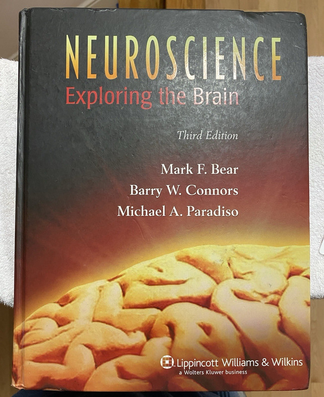 Neuroscience: Exploring the Brain 3e – Bear, Connors, Paradiso- VERY GOOD