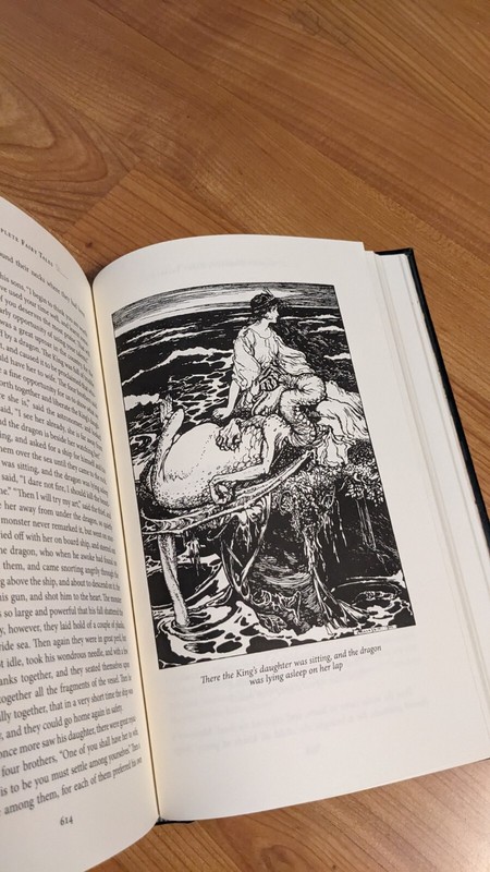 Grimm’s Fairy Tales - Arthur Rackham Barnes Noble Leather Bound Classics 2009 gallery
