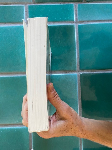 Greece in the Making, 1200-479 BC : From the Dark Ages... Robin Osborne PB 1996 gallery