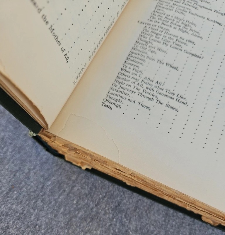 1900 Leaves of Grass by Walt Whitman – David McKay Edition – Antique Hardcover gallery