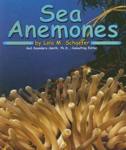 Sea Anemones (Ocean Life) – Paperback, by Schaefer Lola M. – Very Good x