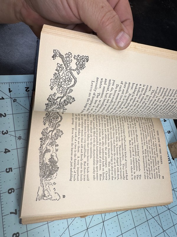 The Nature Library: Trees By Julia Ellen Rogers Hardcover Illistrated 1930 Dust gallery