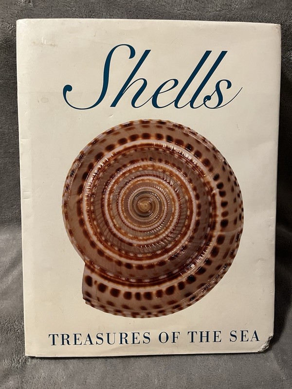 Shells Treasures Of The Sea Book Hardcover